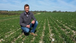 Salisbury Monitor Farm meeting: OSR workshop 